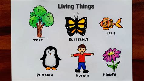 drawings of living things|26 Draw Living Things ideas .